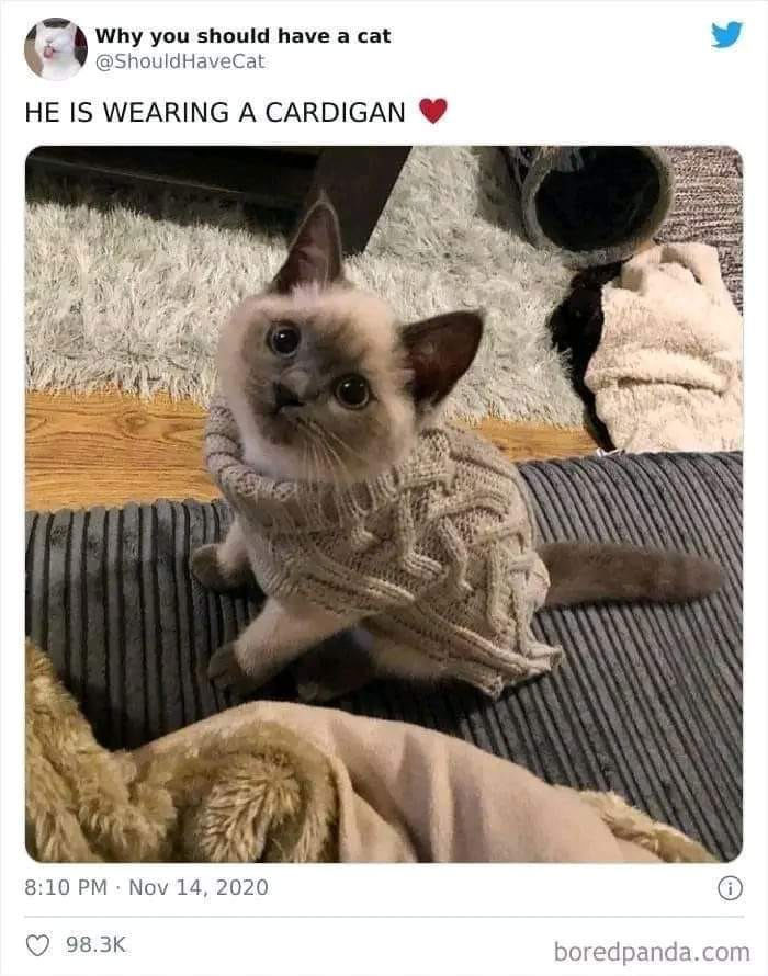 31. A fashionable gentleman