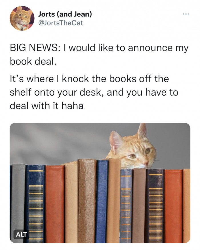 11. The only book deal cats care about.