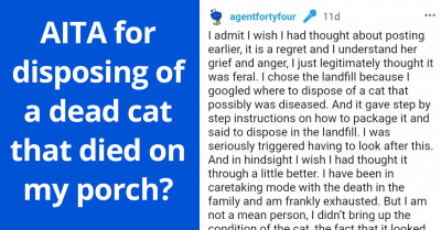 Redditor Disposes Of A Dead Cat He Thought Was A Stray, Gets Berated For It