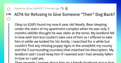 Woman Refuses To Give A Dog She Found Six Years Ago To His Previous Owner