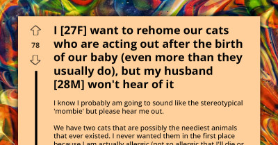 High Maintenance Cats Make Woman's Life a Living Hell; Hates Them More After Her Husband Refused to Rehome Them