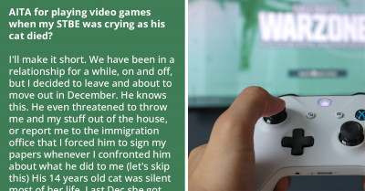 Redditor Called A POS And "Fake Cat Lover" For Gaming Instead Of Crying With Her Abusive BF After His Cat Died