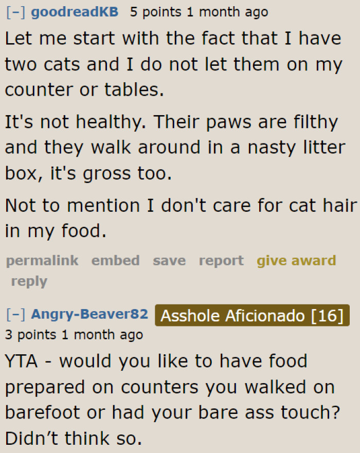 Even fellow cat owners don't agree with what the OP is doing.
