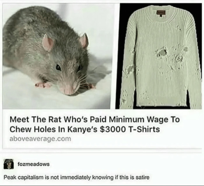 10. We're quite sure it would rather take food than money.