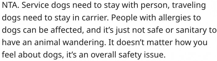 12. It's unsafe to let pets wander freely.