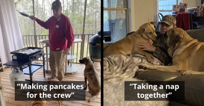 Woman Shares Adorable Photos Of Her Father's Naptime With His Canine Crew