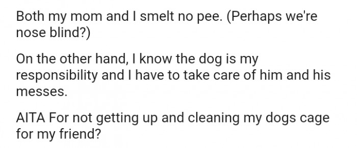 I know the dog is my responsibility