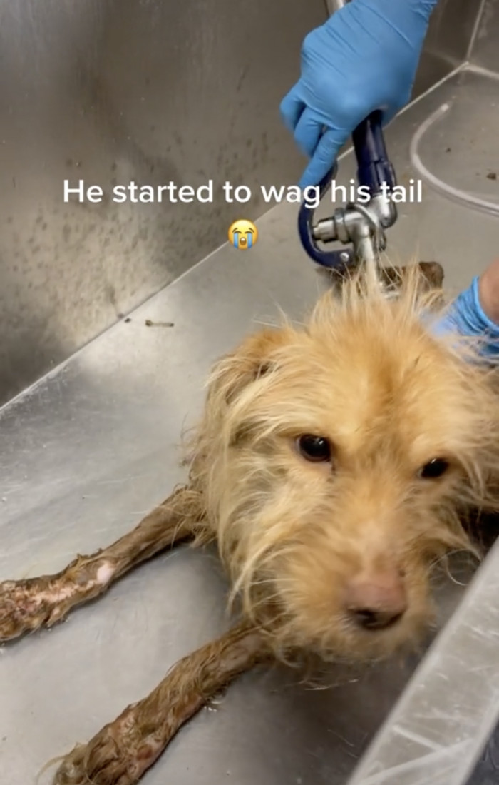 Although he was unable to stand, Travolta couldn't pass up the opportunity to show his appreciation