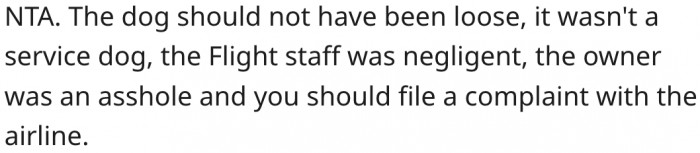 16. He should file a complaint with the airline.