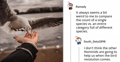 Redditor’s Post About Bird Population and a 50/1 Bird-to-Human Ratio Sparks a Hilarious Debate