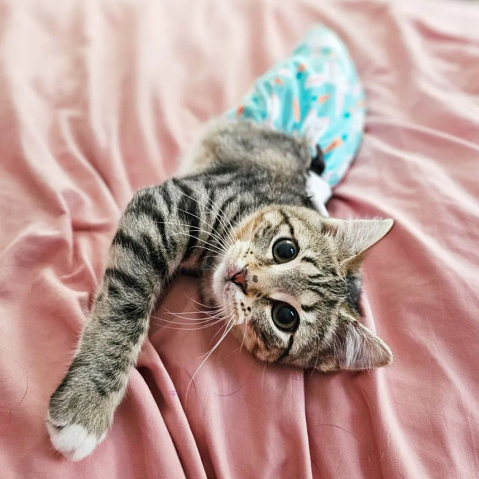 She wears different suits, which absolutely look cute on her.