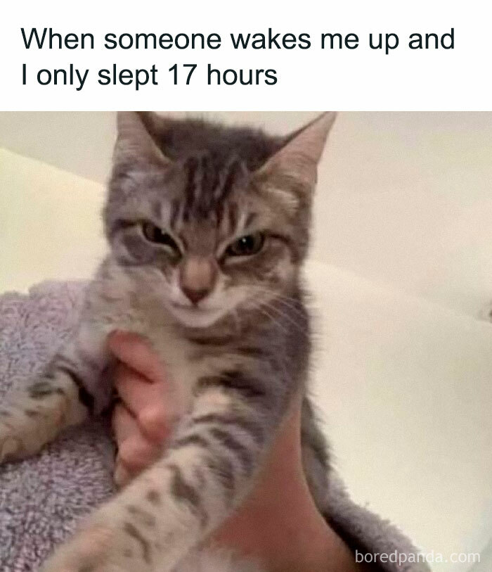 25. You cannot be serious right now