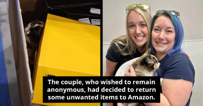 Couple Unwittingly Sends Pet Cat In Amazon Return Box