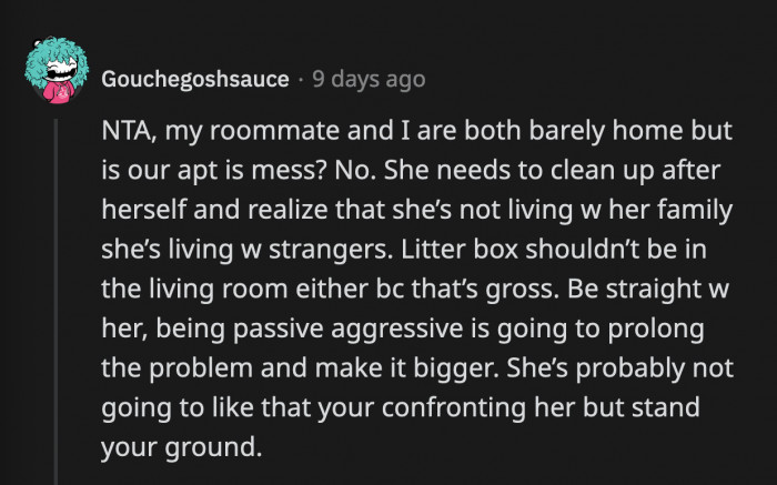 OP and Sheila have to direct about the problems they have noticed. It is not too much to ask your roommate to clean up after their pet and to keep the common areas of the house clean for everyone.