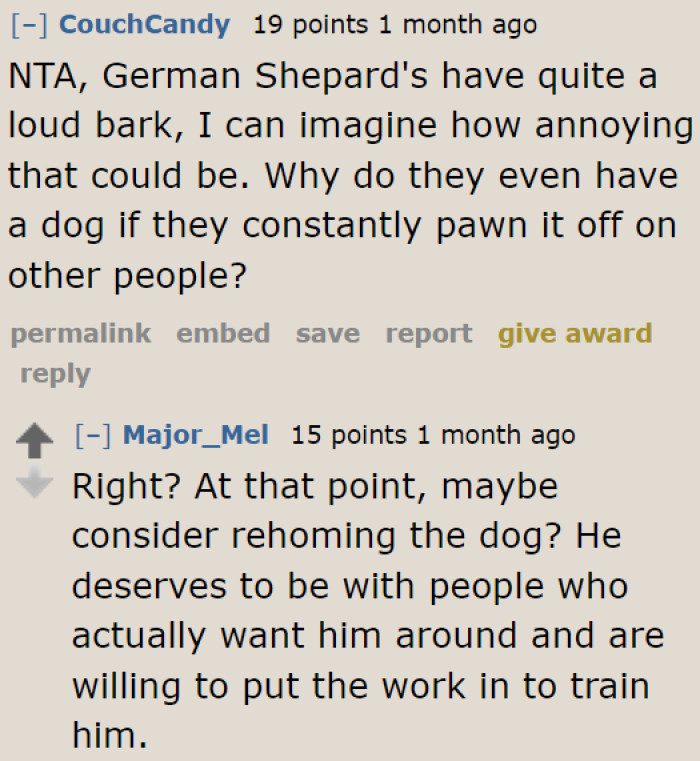If the older brother can't handle his dog properly, then it's best to rehome it.