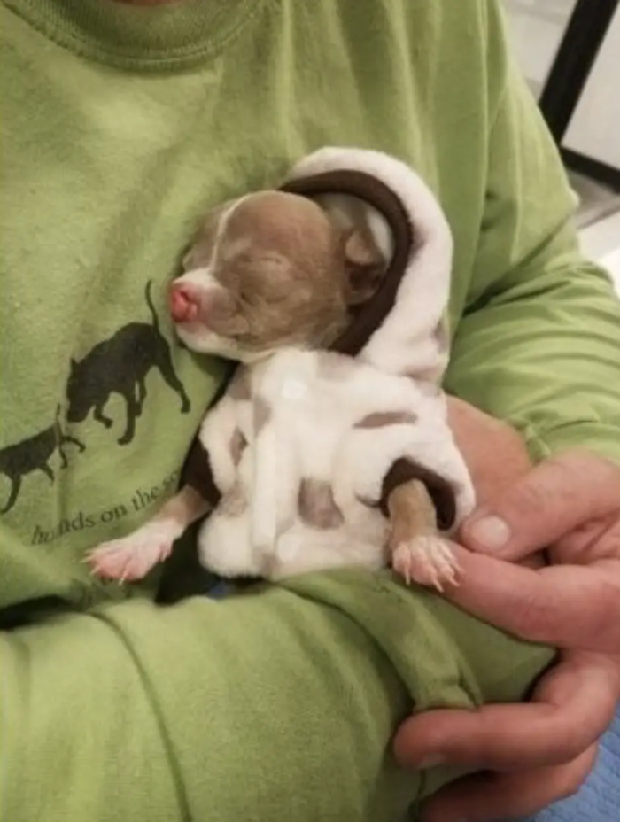 Marie DeMarco didn't hesitate to give Sasha all the love and compassion she deserved