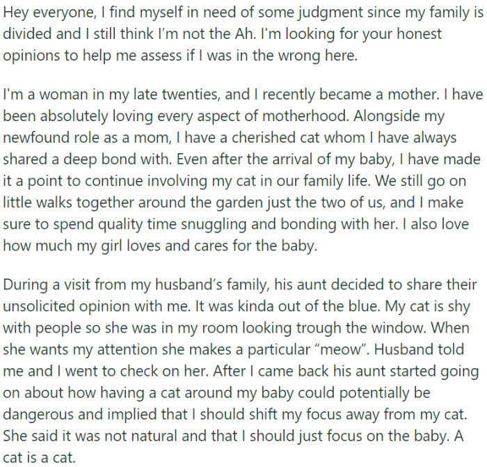 The husband's aunt expressed concern, suggesting they should shift focus solely to the baby, as having a cat around could be dangerous