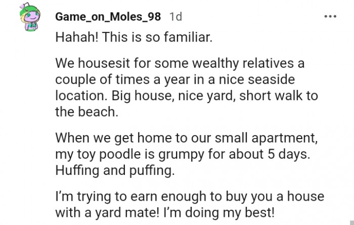 14. Trying to earn enough to get my doggo a house