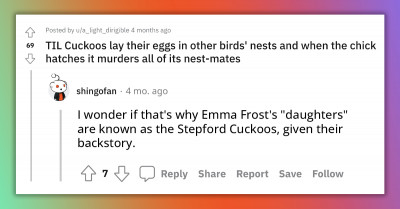 Redditors React To Cuckoos Laying Eggs In Other Birds' Nests And Its Chicks Murdering Its Nestmates