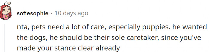 He wanted the dogs - he should be their sole caretaker.