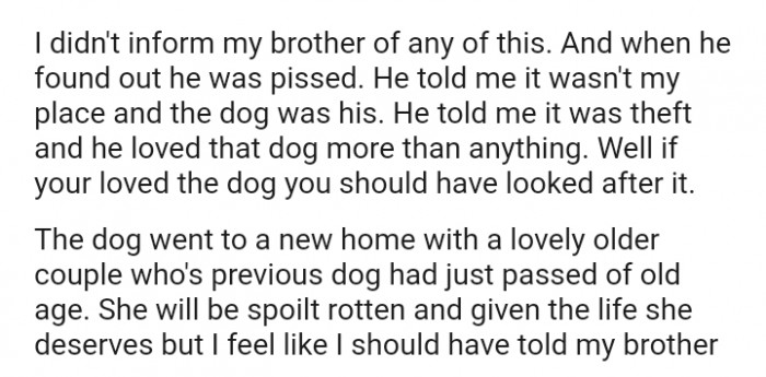 You should have looked after the dog