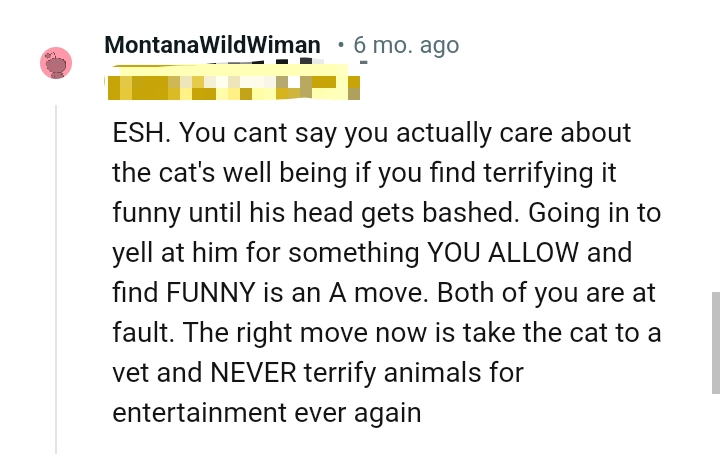 Both of them are at fault