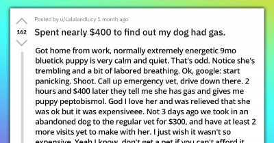 Redditor Shares Story About How They Spent $400 Only To Discover Their Dog Had Gas, Other Redditors Started Sharing Theirs