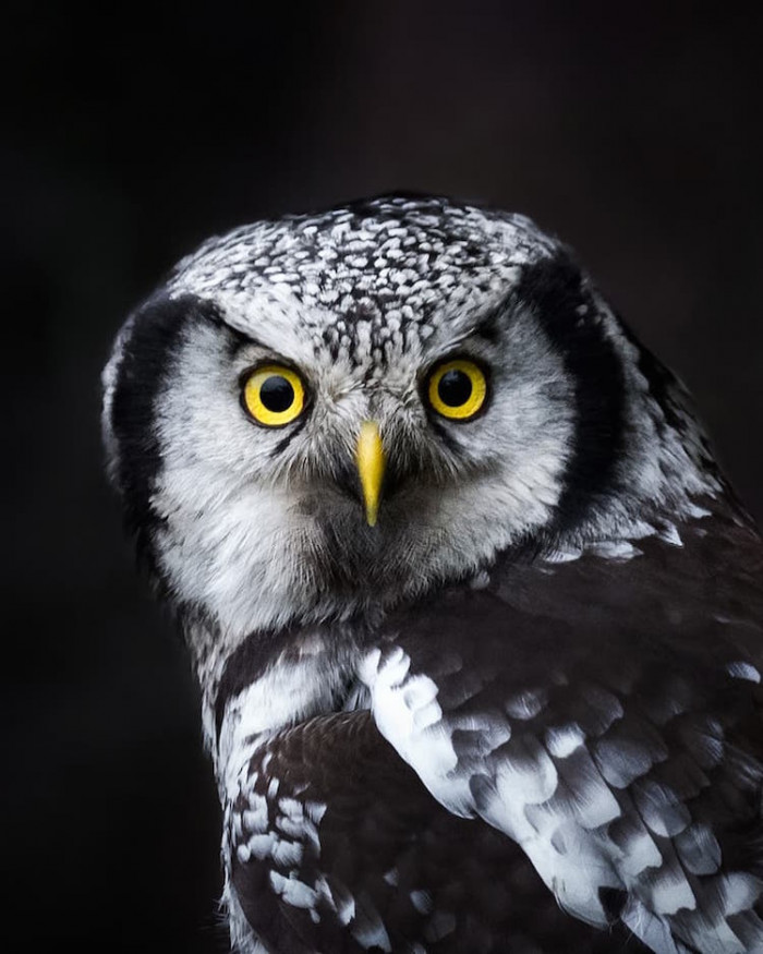 25. Right in your face...