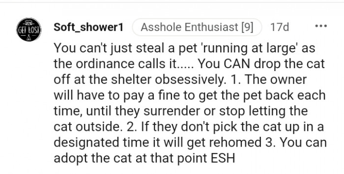 You can drop the cat off at the shelter
