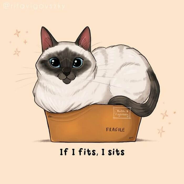 28. I sit even when I don’t fit