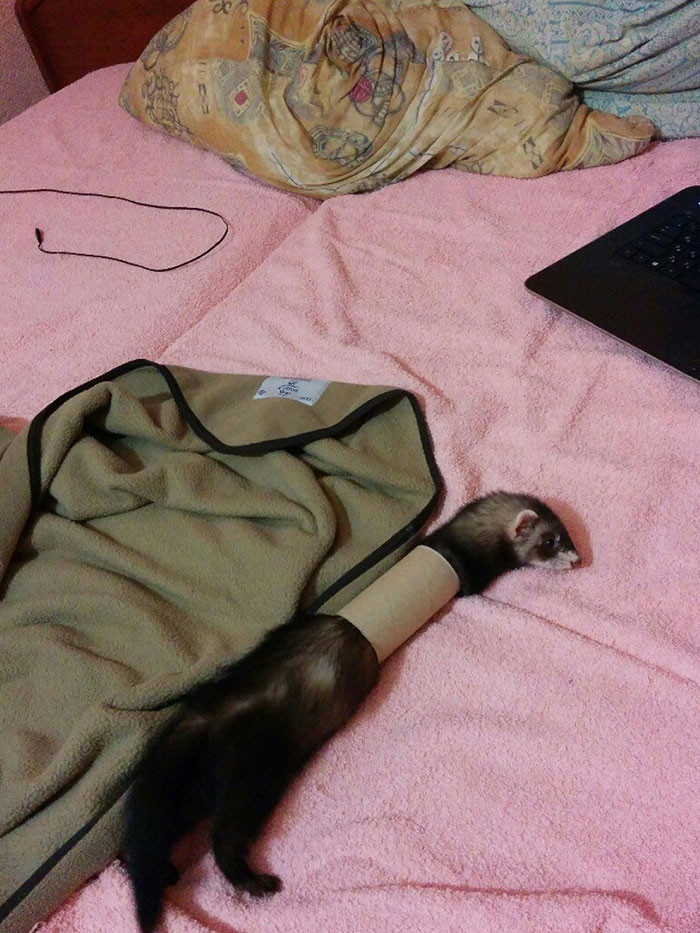 3. I Just Left The Room For 10 Minutes