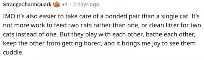 18. It brings me joy to see them cuddle