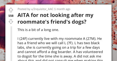 Annoyance Fills The Air As Lady Refuses To Look After Her Roommate's Friend's Dogs