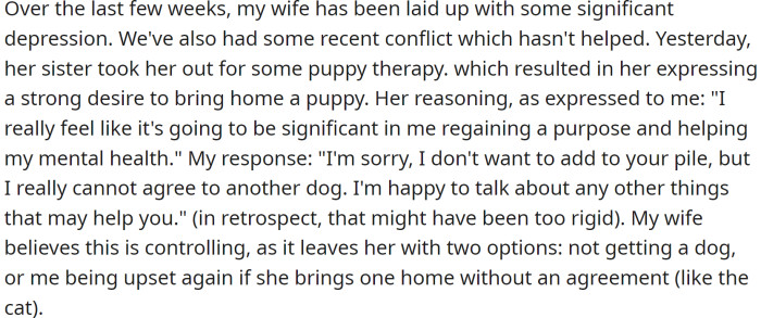 She is depressed and wants another dog.