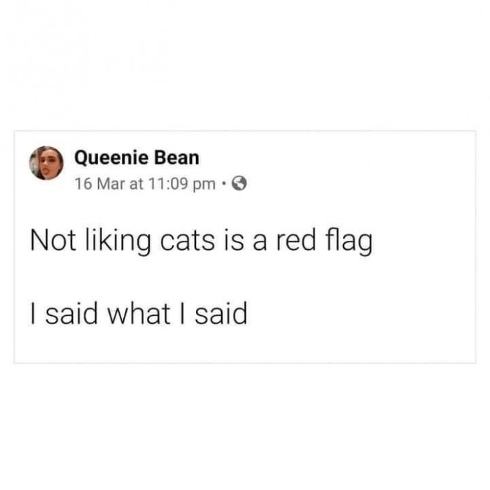 4. Whatever it is that I said, I said it