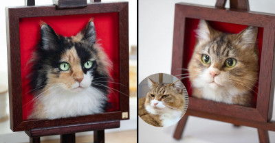 Japanese Artist Creates Stunning Life-Like Cat Portraits With Felted Wool