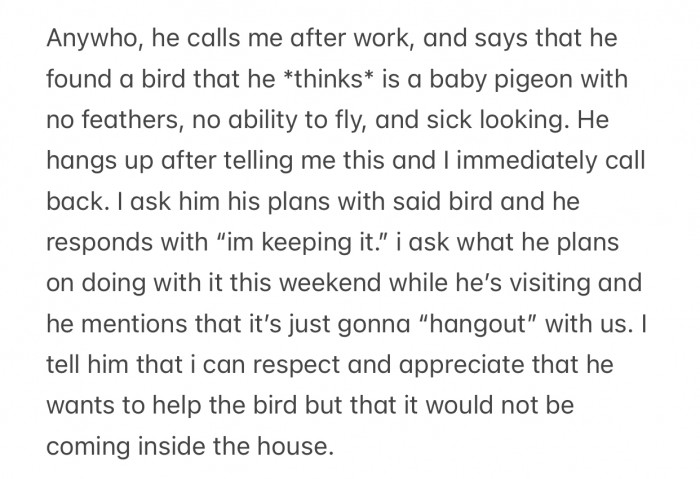 OP's boyfriend wanted to bring the bird along so everyone could just “hang out.”