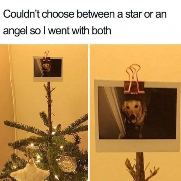 29. A very wise choice if you ask me