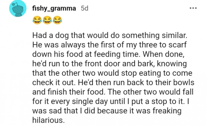 1. The other two fell for it every single day