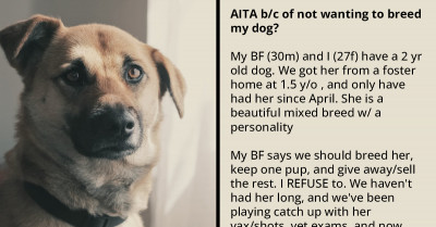 Man Who Clearly Knows Nothing About A Dog's Needs Wants To Do Backyard Breeding But His Girlfriend Prevents Him From Doing So