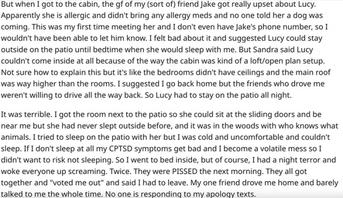 The problem became clear when they got to the cabin and realized one of the girls there was allergic to dogs.