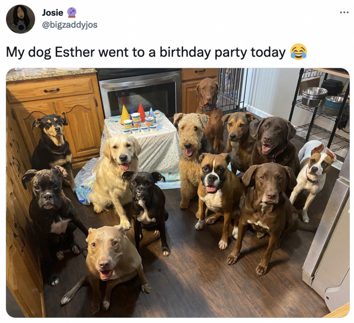 22. When your dog has a more active social life than you