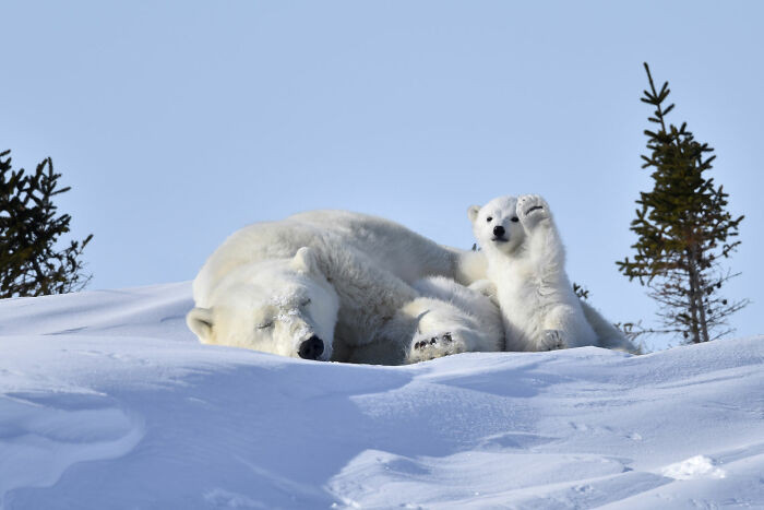 Hello! By Philip Marazzi