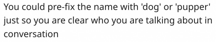 19. Add another name to the dog's name for easy identification.