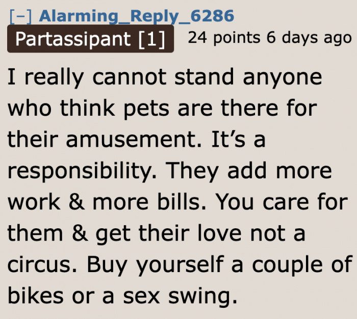 The boyfriend isn't in the right mindset for owning dogs.