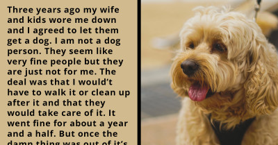 Dad Lets His Family Get A Dog, But They Are Not Taking Care Of It, So Now He's Stuck Keeping Up With All The Responsibilities