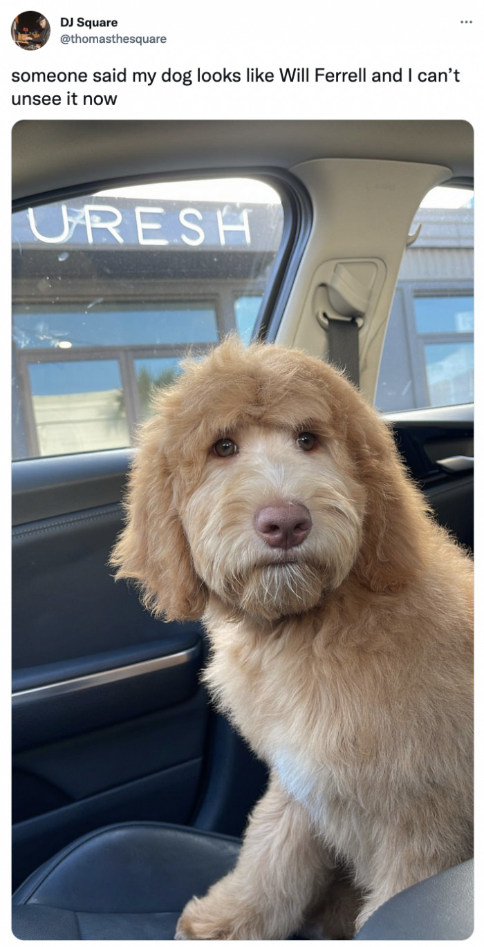 9. You stay classy, San Diego