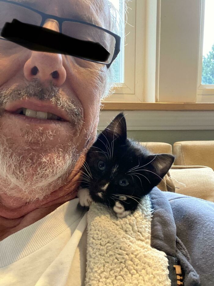 “If I Come Home And There’s A Cat There, I’m Going To Be Mad.”— My Dad, Lying"