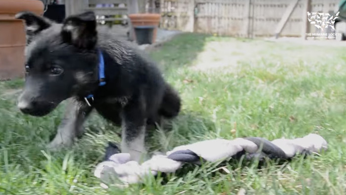 His playful personality emerged as well