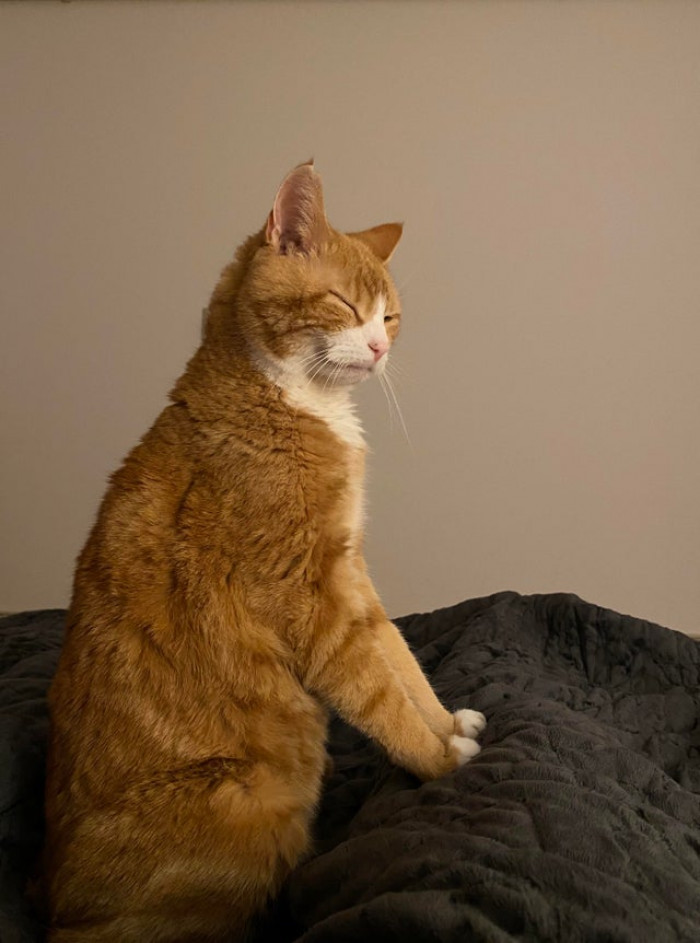 I accidentally woke him up by rearranging my legs